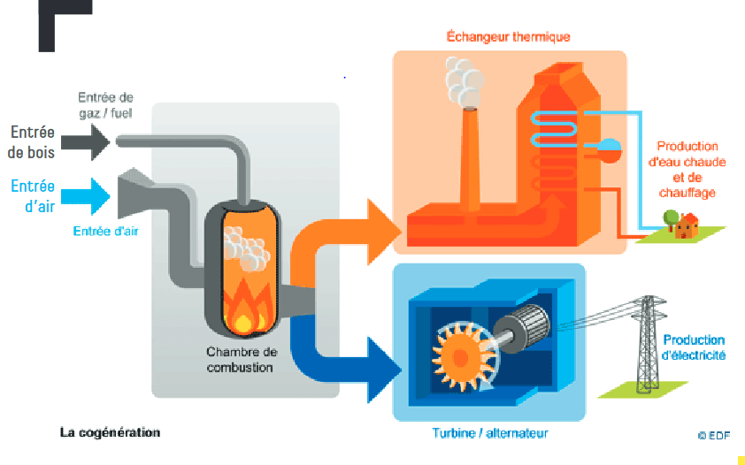 Schéma de fonctionnement de l'usine Biomax